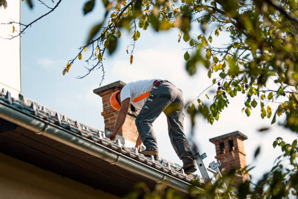Roof Repair Estimates in Holly Lake Ranch, TX